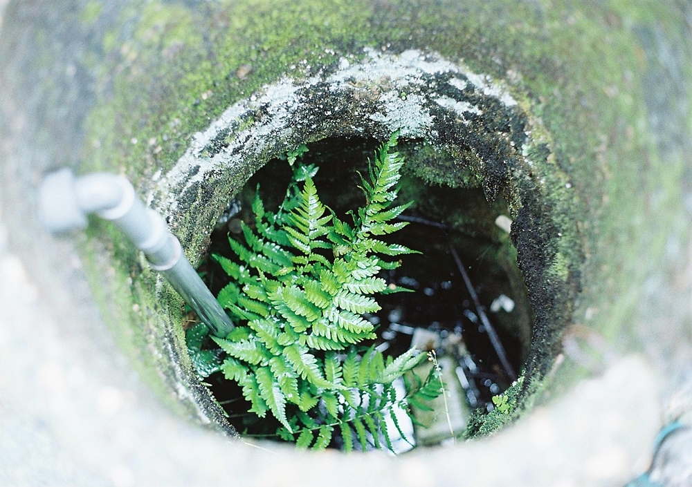 단계 우물