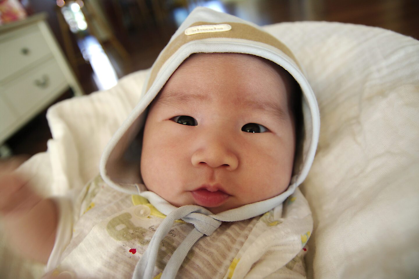 규태