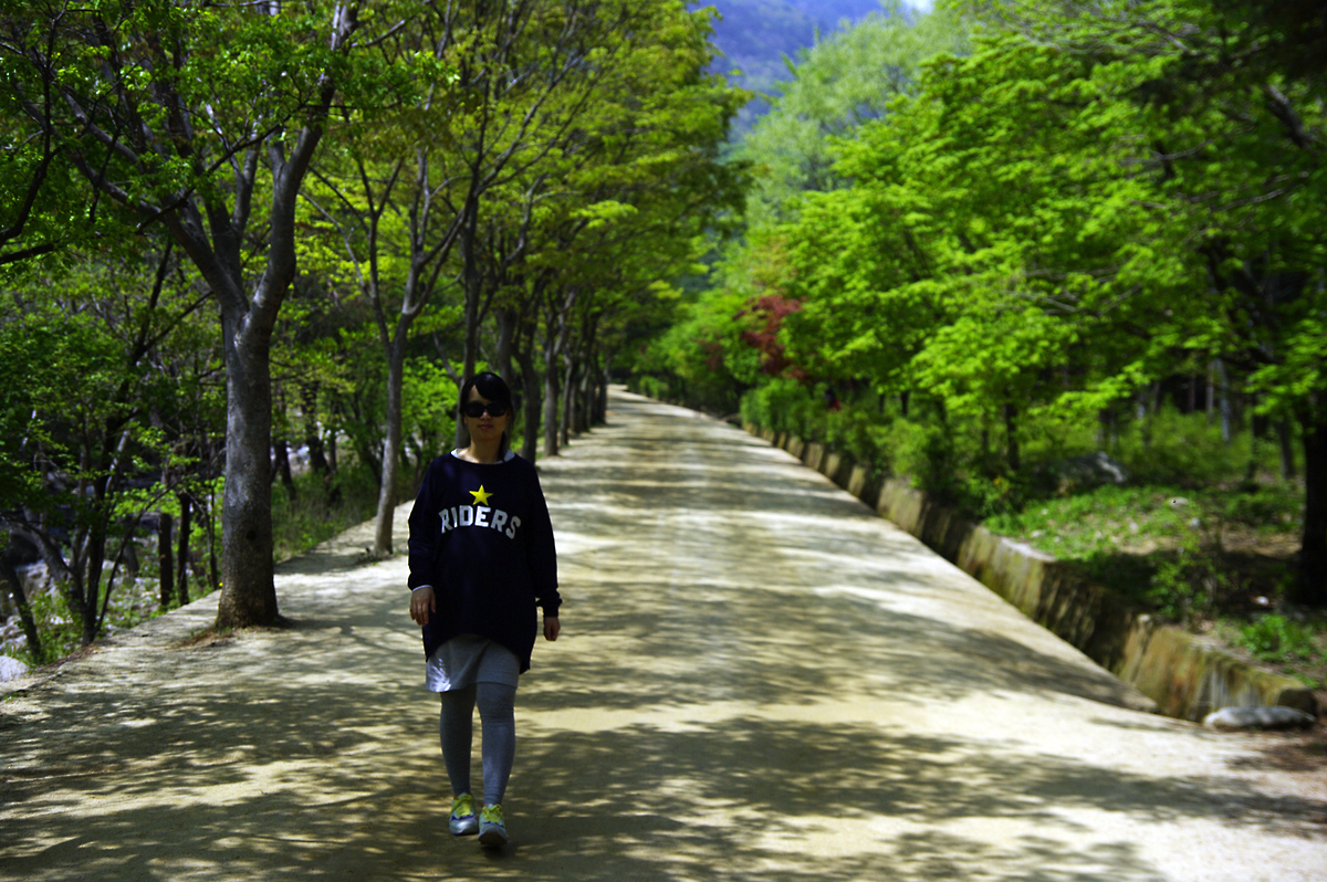 문경새재