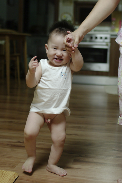 섯다