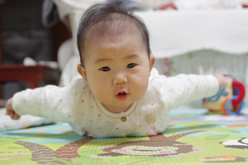 붕붕