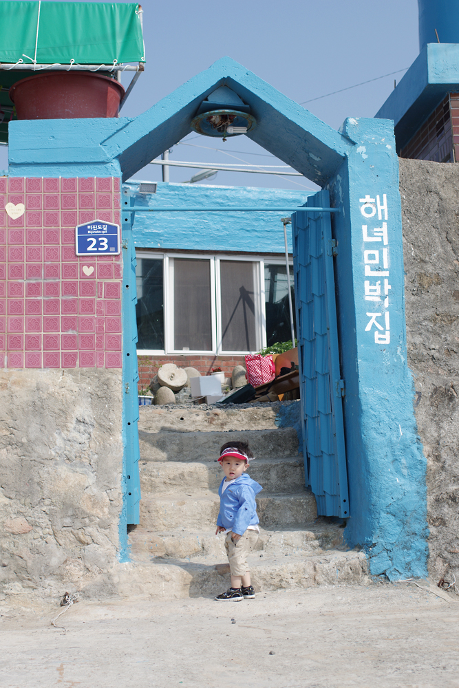 비진도