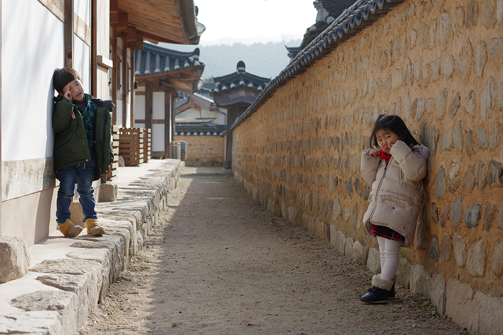 담장
