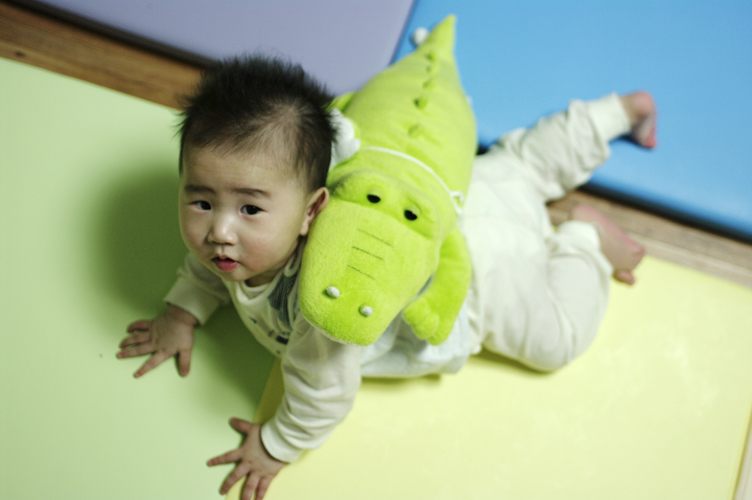 악어잡으러 가요