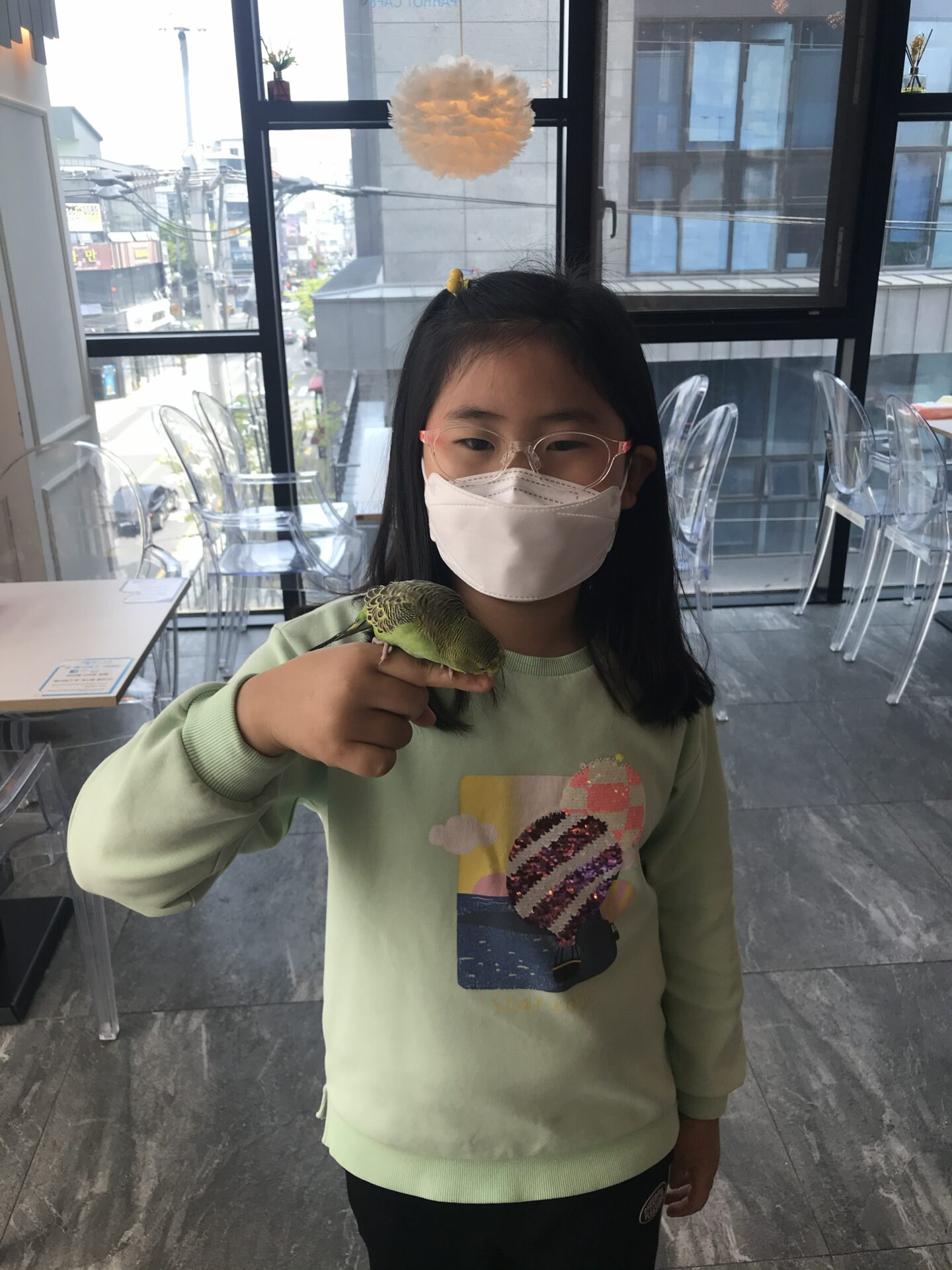 규리 앵무새와