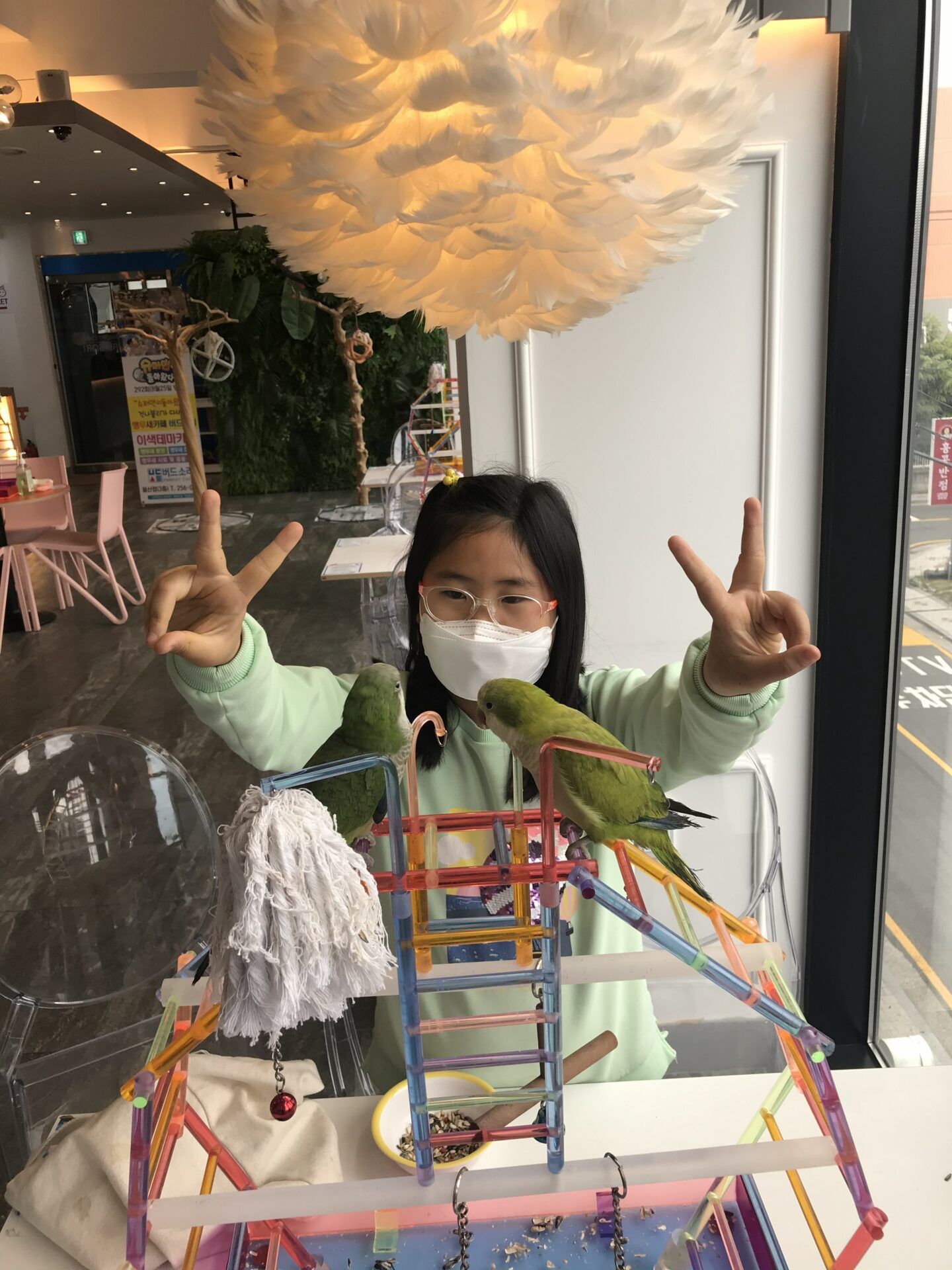규리 앵무새