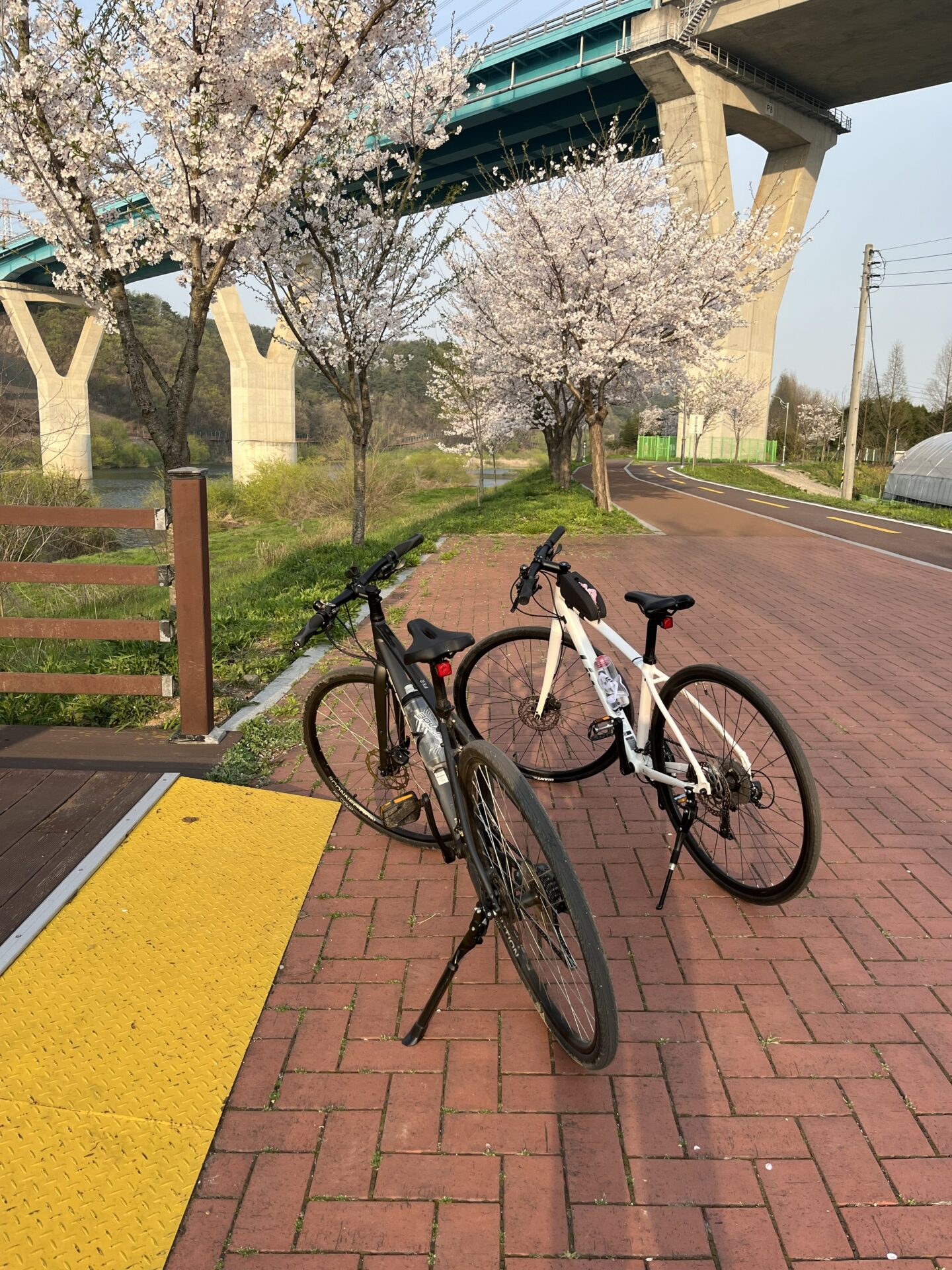첫 자전거 하브